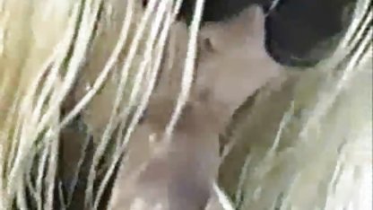 , عوضی هیجان زده می شود که او چه می کانال تلگرام پورن خواهد