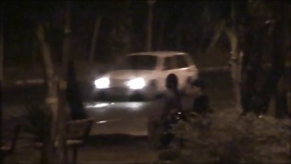 و سکسی , پورنو کانال تلگرام سکس حیوانات دوجنسی بالا در اطراف قطب و
